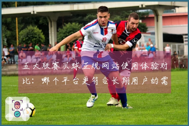 五大联赛买球正规网站使用体验对比：哪个平台更符合长期用户的需求？
